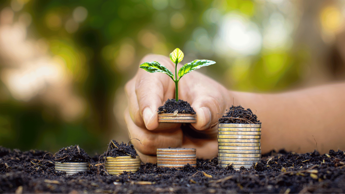 A hand placing a plant on top of coins, symbolizing growth through ESG investments in Germany and sustainable financial practices.