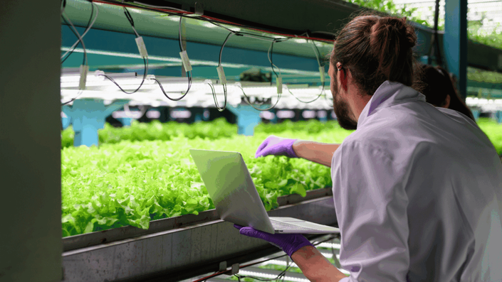 Interior of a high-tech indoor Urban Farming facility with rows of plants growing under artificial lights.